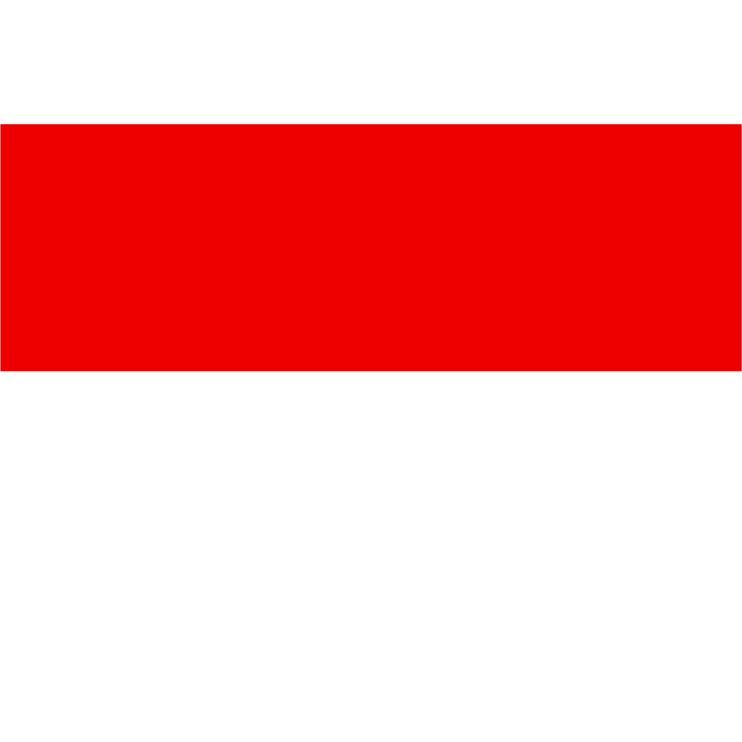 Indonesia Flag